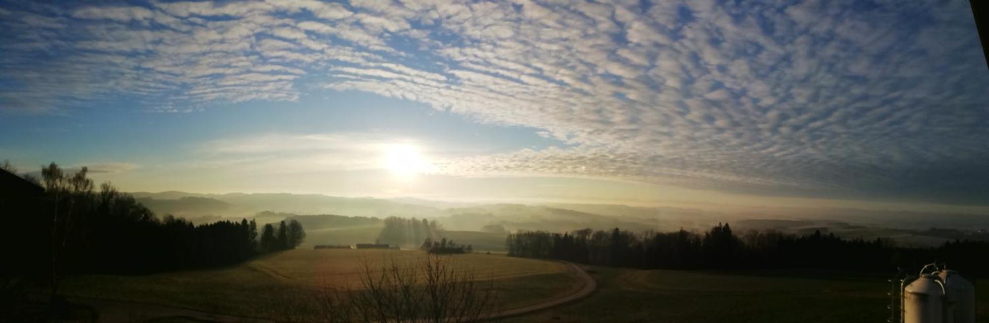Landgasthof Peterbauer Schärding Esterno foto